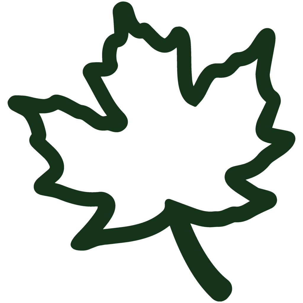 dark green maple leaf outline